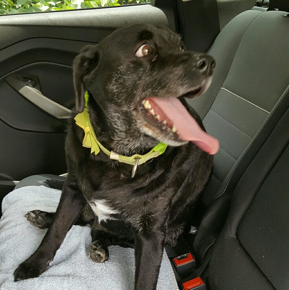 Meet your Posher, Christina - Picture 2 of 2